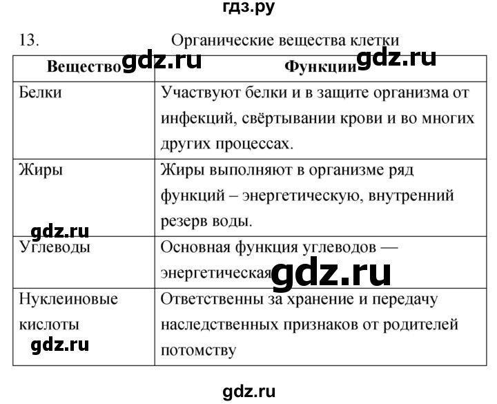ГДЗ по биологии 6 класс Сонин рабочая тетрадь Живой организм  номер - 13, Решебник