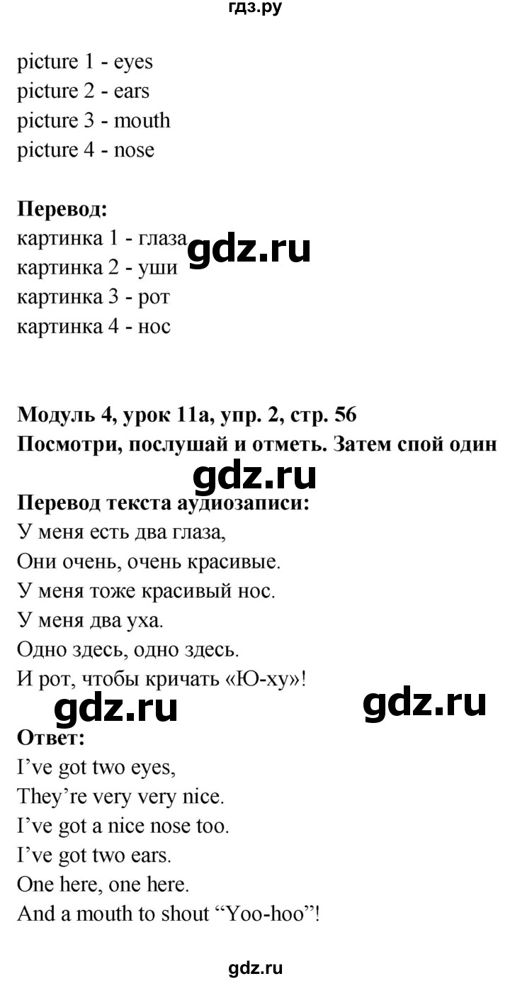 ГДЗ по английскому языку 1 класс Быкова Starter  страница - 56, Решебник